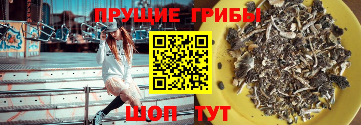 Тула  Псилоцибиновые грибы мухоморы  Вход с VPN  Псилоцибиновые грибы Psilocybine cubensis 
