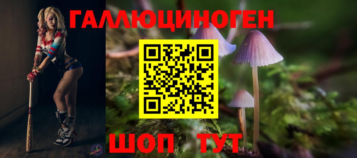 Псилоцибиновые грибы Psilocybine cubensis Тула